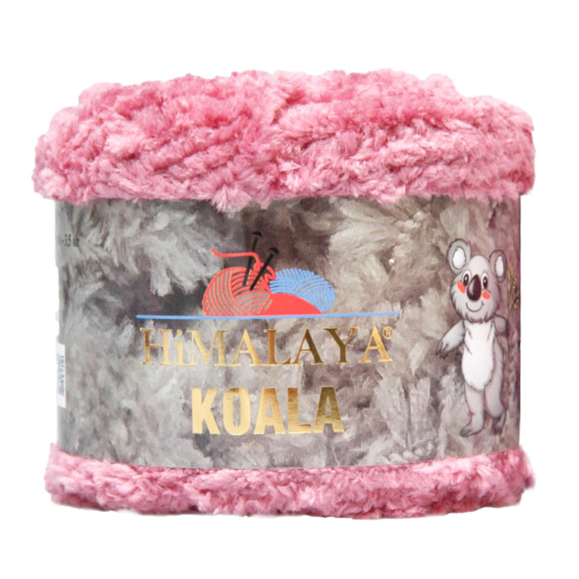 Himalaya Koala